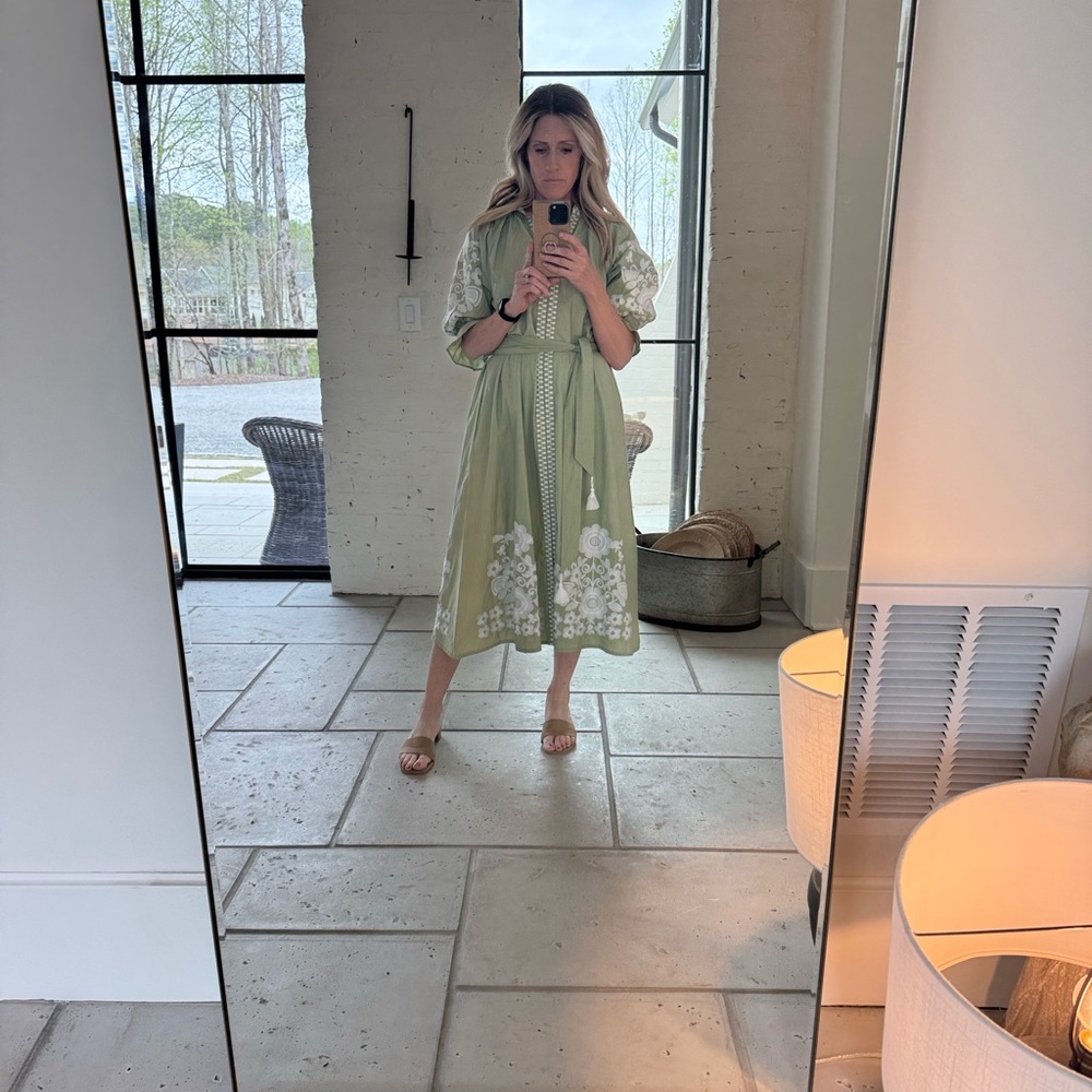 Julia Amory with Arron Green Embroidered Puff Sleeve Midi Dress - Picture 4 of 6